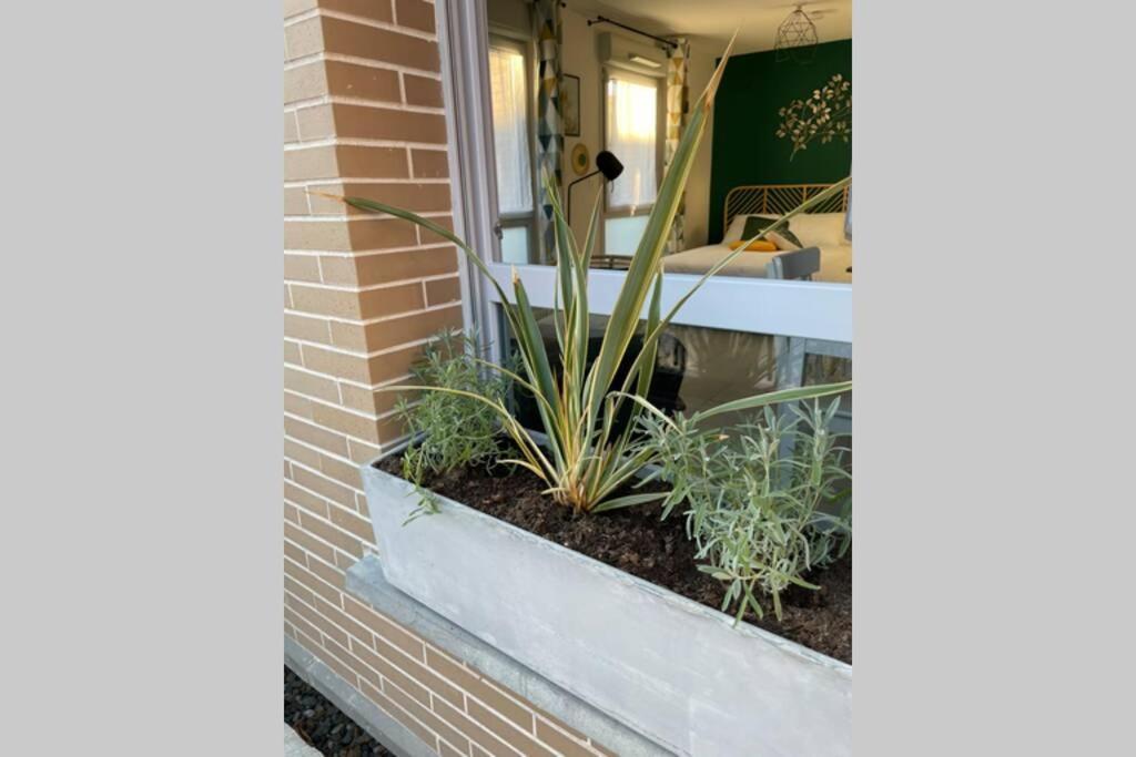 Apartamento Minimes, Studio Cosy Tout Confort, Wifi, Parking Toulouse Exterior foto