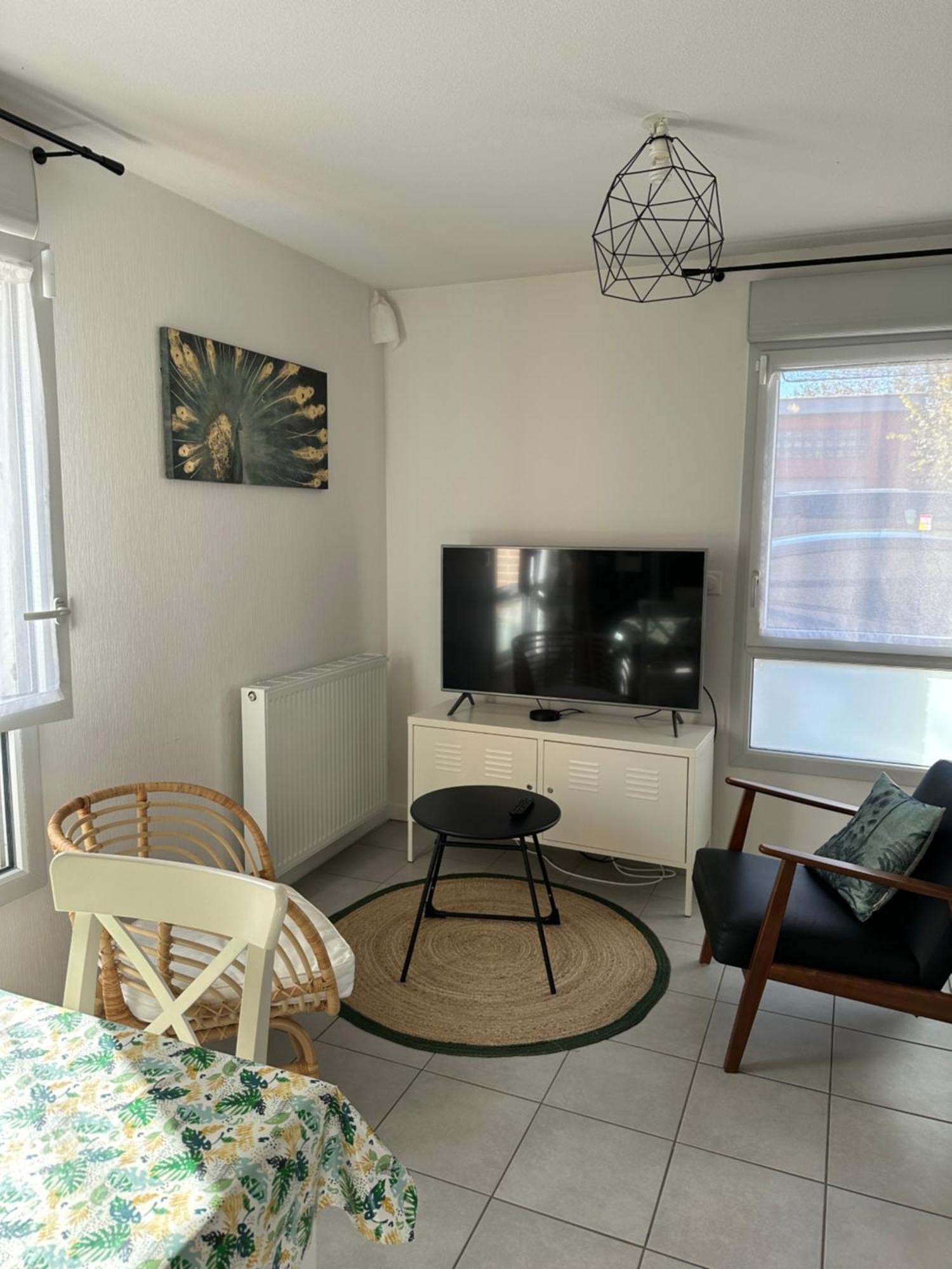 Apartamento Minimes, Studio Cosy Tout Confort, Wifi, Parking Toulouse Exterior foto